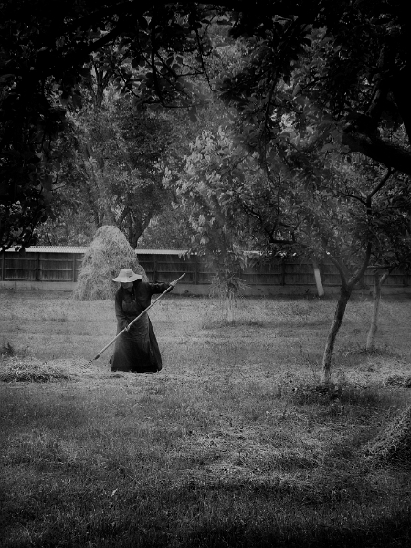 Ion Gabriel Ceaușescu - Muncitoare.jpg